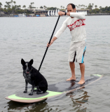 Traction Pad for Dogs Stand Up Paddleboard Deck Padding