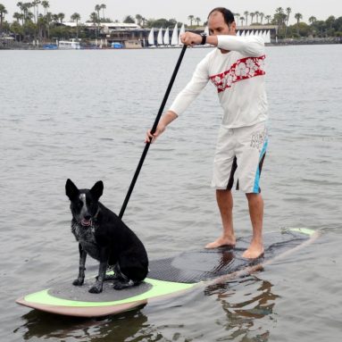 Traction Pad for Dogs Stand Up Paddleboard Deck Padding