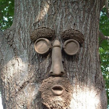 Tree Face