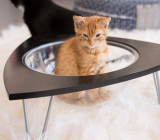 Tripod – Cat Lounge Pod
