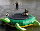 Turtle Jump Water Trampoline
