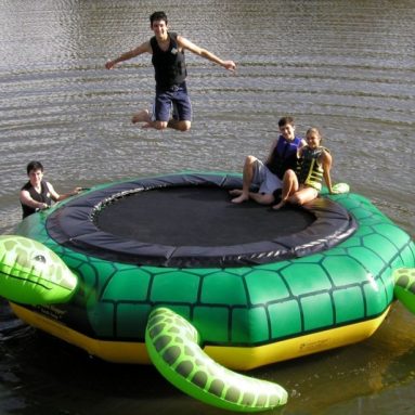 Turtle Jump Water Trampoline