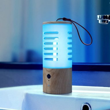 UV Light Sanitizer Modern Fashion Portable UVC Germicidal Ozone Lamp
