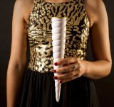 Magical Unicorn Champagne Horn