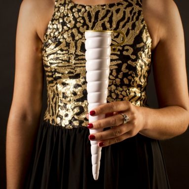 Magical Unicorn Champagne Horn