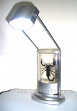 LED Lamp with Real Black Scorpion