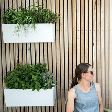 Urban Garden Self-Watering Mini Wall Planter