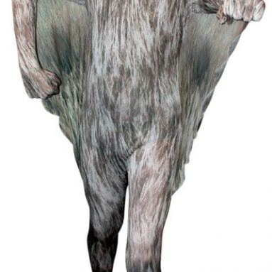 Vampire Bat Morphsuit Kids Costume