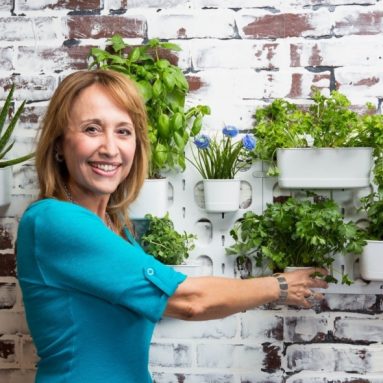 Living Wall Garden Starter Kit