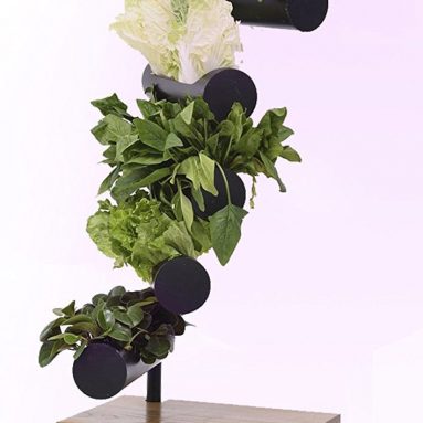 Vertical Garden with Full Spectrum Growth Lamp