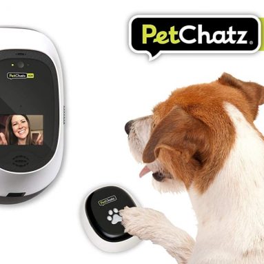 Video Pet Camera