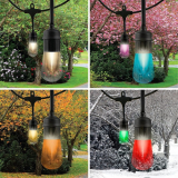 Vintage Seasons LED Warm White and Color Changing Café String Lights