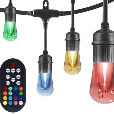 Vintage Seasons LED Warm White and Color Changing Café String Lights