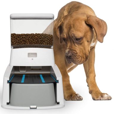 Wagz Smart Dog Feeder, Automatic Dog Food Dispenser with Video and Portion Control