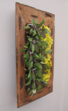 Wall Mounted Living Wall Frame