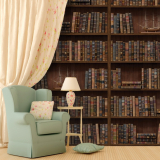 Wall Stickers Vintage Library