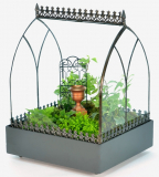 Wardian Case Terrarium