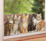 Watching Cats Window Cling Decal