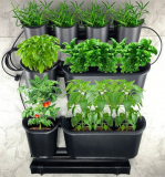 Watex Urban Farming Vegetable and Fruit Starter Kit