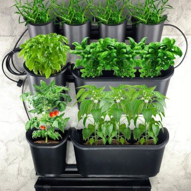 Watex Urban Farming Vegetable and Fruit Starter Kit