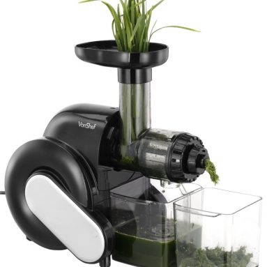 Wheatgrass Slow Juicer