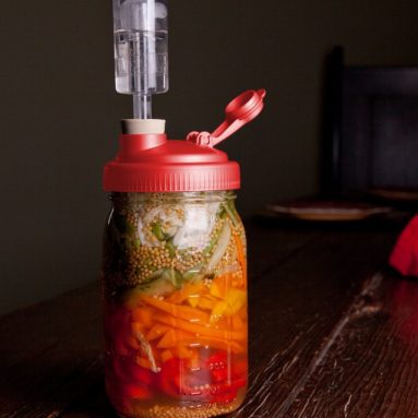 Wide Mouth Mason Jar Mold Free Anaerobic Fermenting Kit