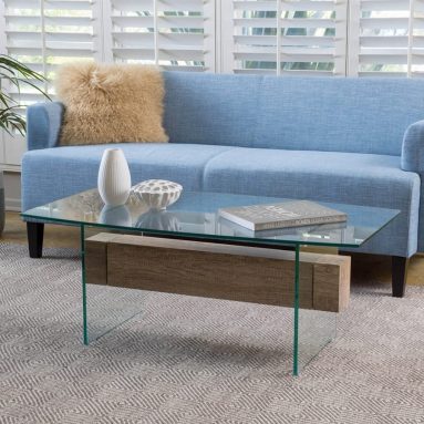 Glass and Wood Coffee Table