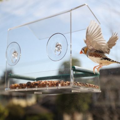 Window Bird Feeder House