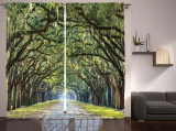 Woodland Country Decor Curtains