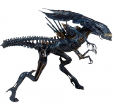 Xenomorph Queen Ultra Deluxe Boxed Action Figure