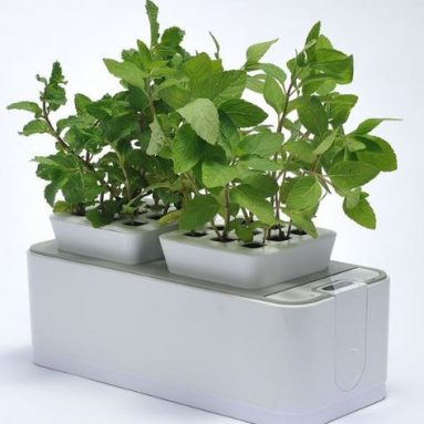 ZeroSoil Mini Indoor Garden
