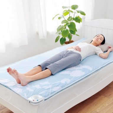 Air Conditioned Bed Mat