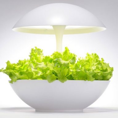 LED Hydroponic Grow Box