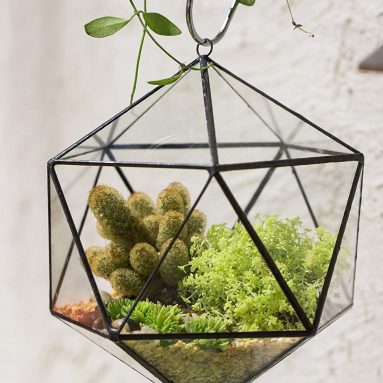 Hanging Geometric Terrarium Balcony