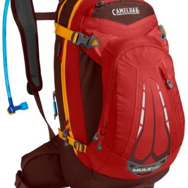Camelbak Hydration Backpack