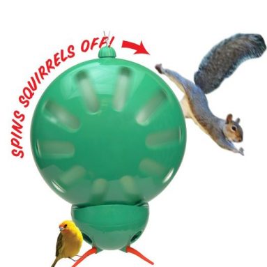 Anti-Squirrel Bird Feeder