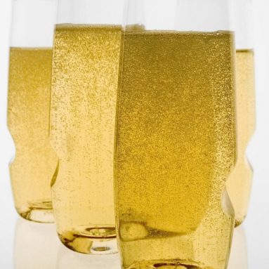Govino Shatterproof Champagne Flute Wine Glass