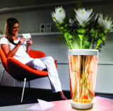 Philips LED Color-Changing Vase