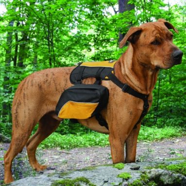 Wander Pack Dog Backpack
