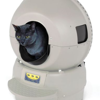 The Best Automatic Cat Litter Box
