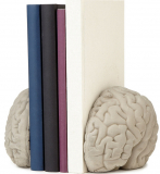 brain bookends