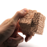 The Brain Cube