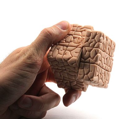 The Brain Cube