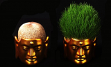 Buddha Hair Salon Flower Pot Small
