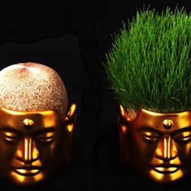 Buddha Hair Salon Flower Pot Small