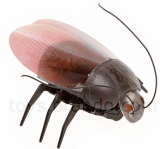 USB Rechargeable RC Tiny Vivid Fluorescent with Flashing Tail