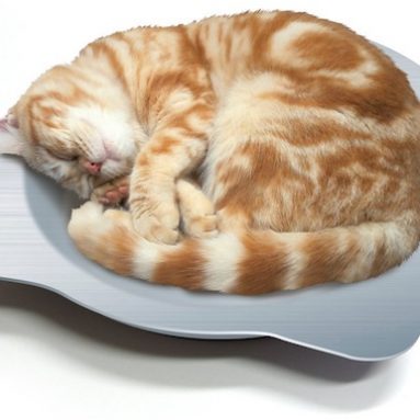 Cat Cool Pot Bed