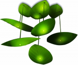 Fireflies In My Room