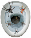 75% Discount: Spider Toilet Topper Peel ‘N Place