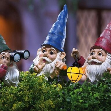 Peeping Gnomes Garden Statues